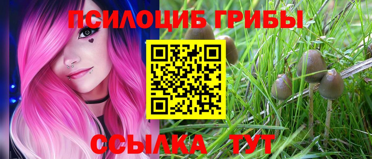 Псилоцибиновые грибы GOLDEN TEACHER  Псилоцибиновые грибы Cubensis  Барнаул  Вход с VPN 